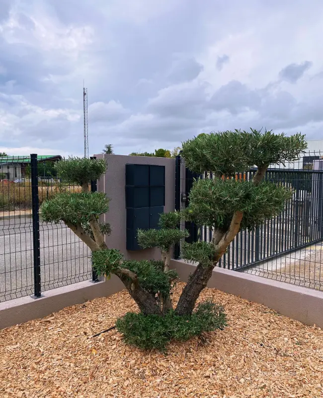 Paysagiste à Cassis