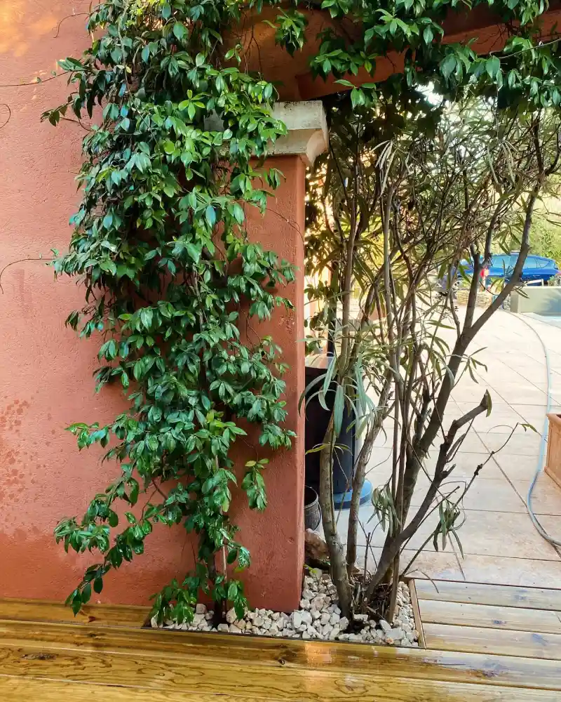 As Paysage Paysagiste Mimet Realisation 24